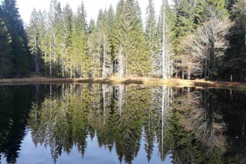 Apartmán Jakub Sklář Železná Ruda Exterior foto